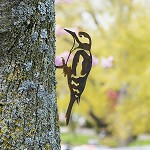 Metalbird
Specht